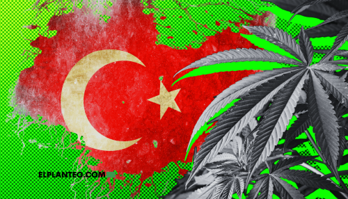 Turquía: Presentan Proyecto de Ley para Producir Cannabis Medicinal