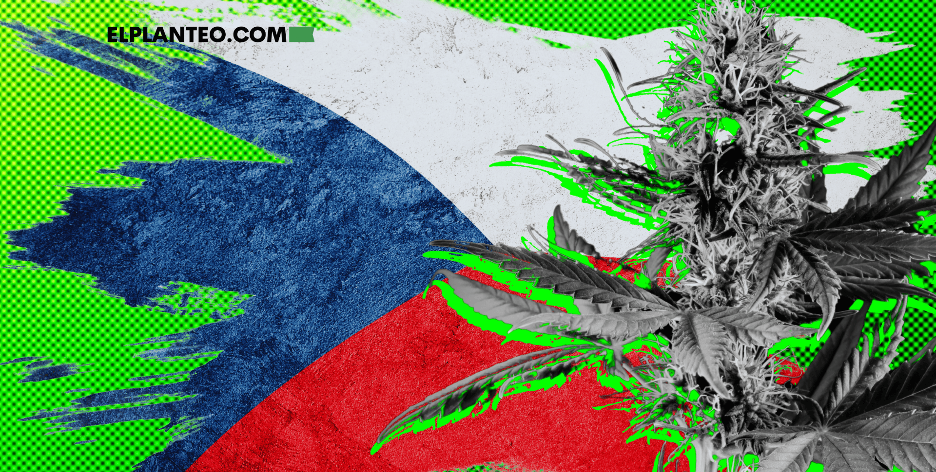 República Checa, a Punto de Legalizar Autocultivo de Marihuana: Senado Aprueba Nueva Enmienda