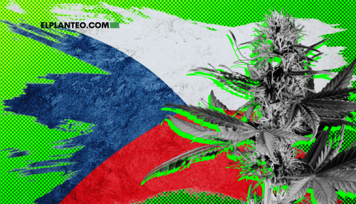 República Checa, a Punto de Legalizar Autocultivo de Marihuana: Senado Aprueba Nueva Enmienda