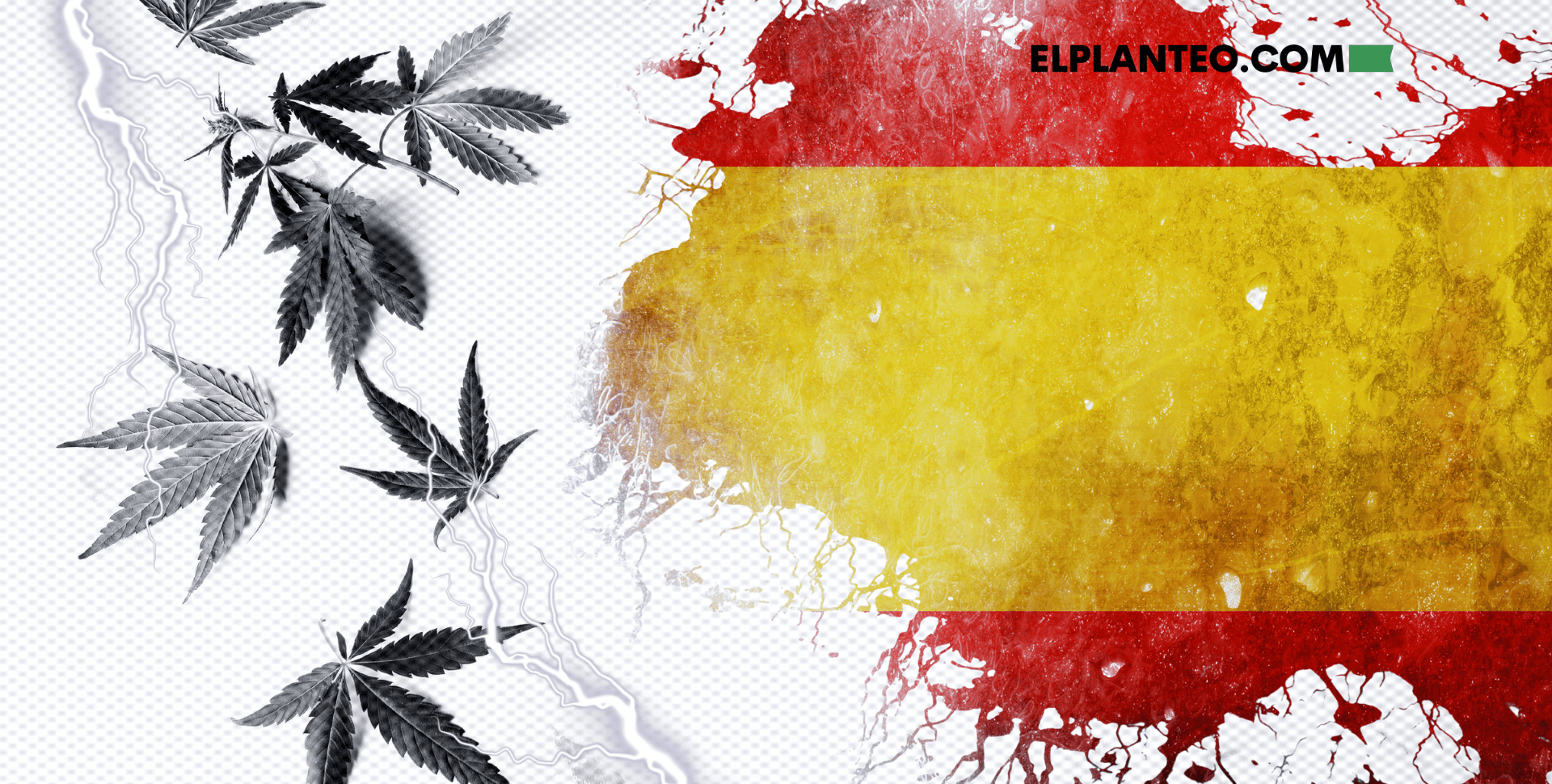 Cannabis, Indoor y Robo Energético: Usarán I.A. para Detectar Cultivos Ilegales en España