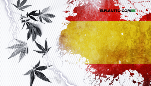 Cannabis, Indoor y Robo Energético: Usarán I.A. para Detectar Cultivos Ilegales en España