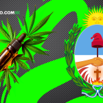 ¡Vamos Argentina! Corrientes Distribuye el Primer Aceite de Cannabis Medicinal, Gratuito y Estatal