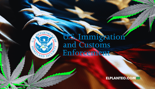 EEUU: Entendiendo la Redada Migratoria en un Cultivo de Cannabis Legal