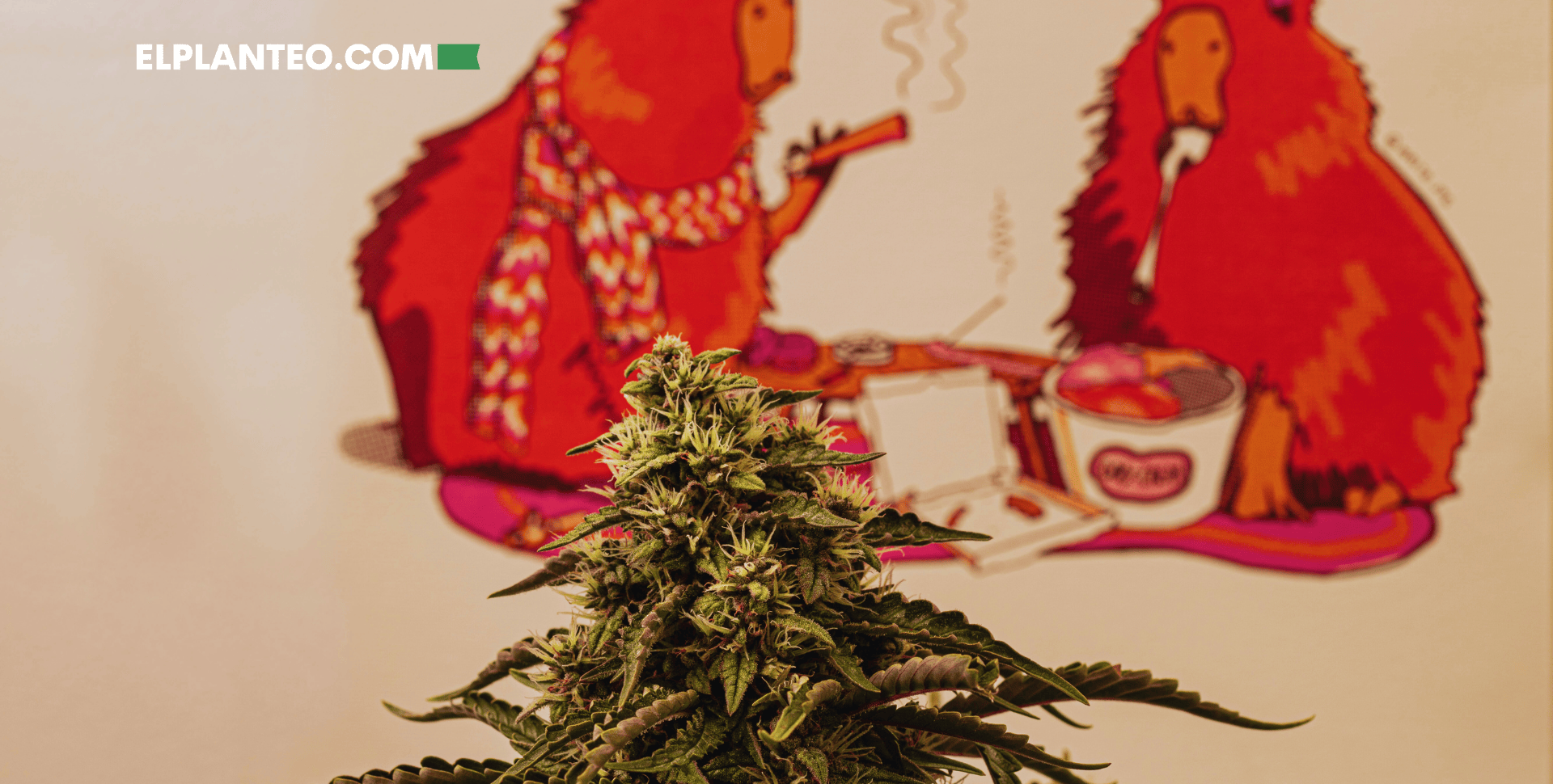 Rosin, Feminismo y Triunfo: El Joint Club Hace Historia en la Copa del Plata 2025