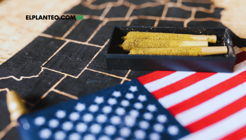 EEUU Fumó 316 Millones de Porros Prearmados en 2024: Estas Marcas Dominaron el Mercado de USD 3.100 Millones EEUU Fumó 316 Millones de Porros Prearmados en 2024: Estas Marcas Dominaron el Mercado de USD 3.100 Millones
