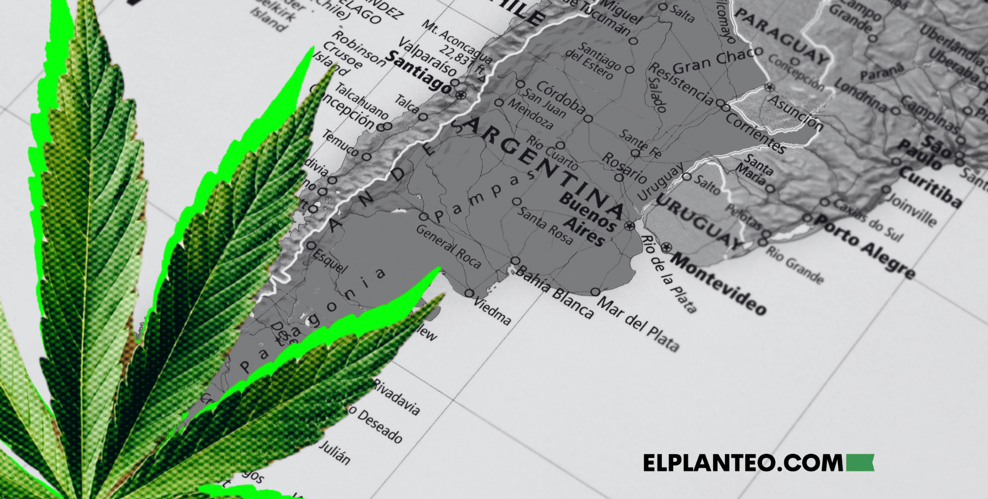 Repercusión en las Provincias del Cierre de INASE y ARICCAME, ¿Quién Toma la Posta del Cannabis en Argentina?