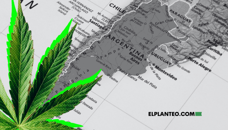 Repercusión en las Provincias del Cierre de INASE y ARICCAME, ¿Quién Toma la Posta del Cannabis en Argentina?