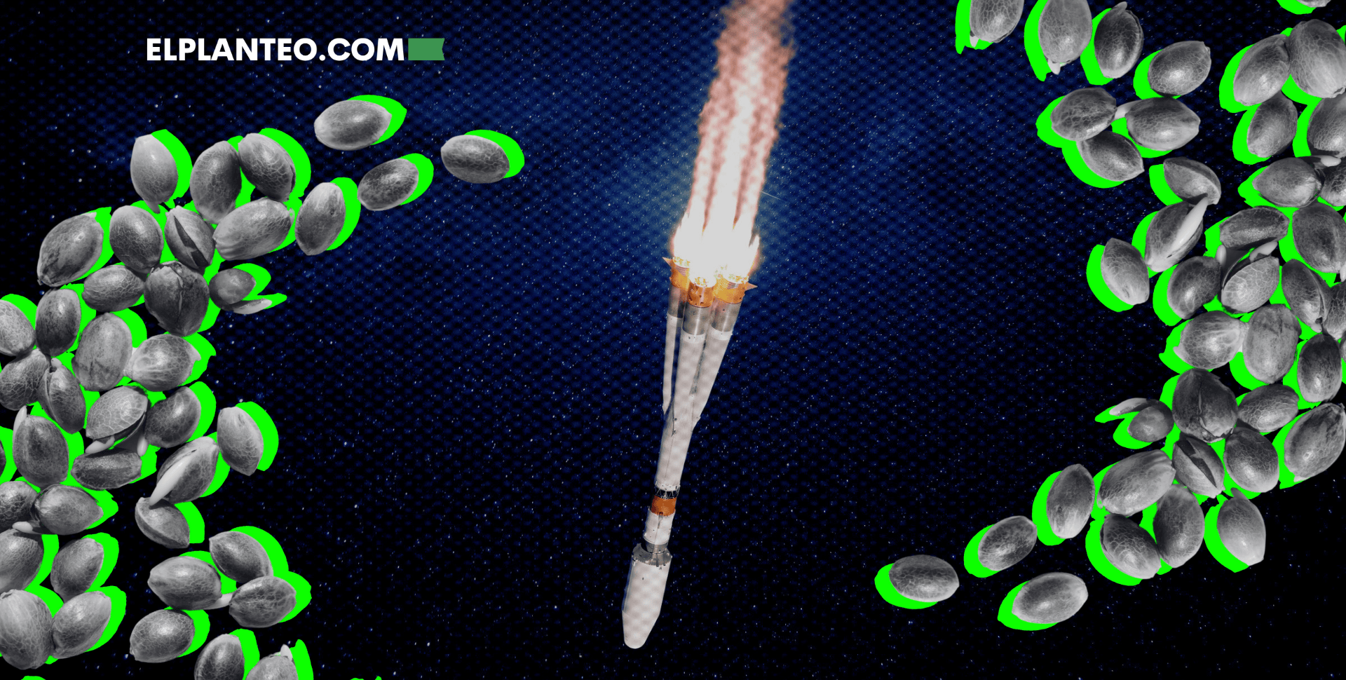 ¿Cannabis en el Espacio? Científicos Lanzan Cohete con Semillas (Y Sale Mal)