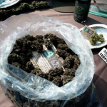 Más Allá del Hype: 9 Herramientas Clave para el Cultivo y Venta de Cannabis