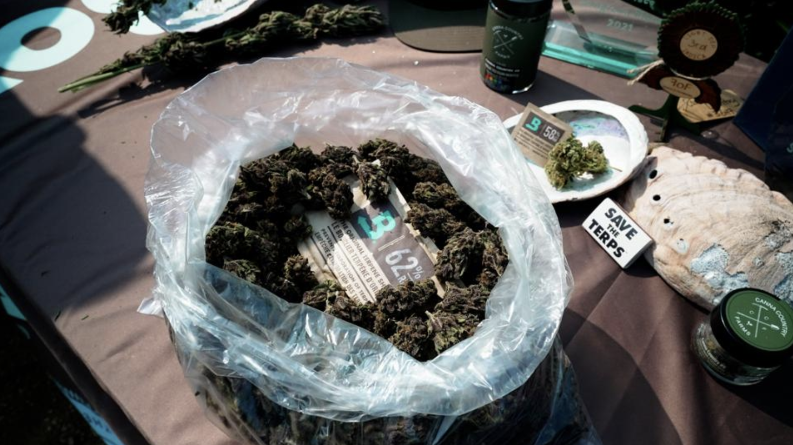 Más Allá del Hype: 9 Herramientas Clave para el Cultivo y Venta de Cannabis Más Allá del Hype: 9 Herramientas Clave para el Cultivo y Venta de Cannabis