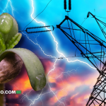 El Cultivo de Cannabis Consume Más Energía que Bitcoin, y Eso Es un Problema