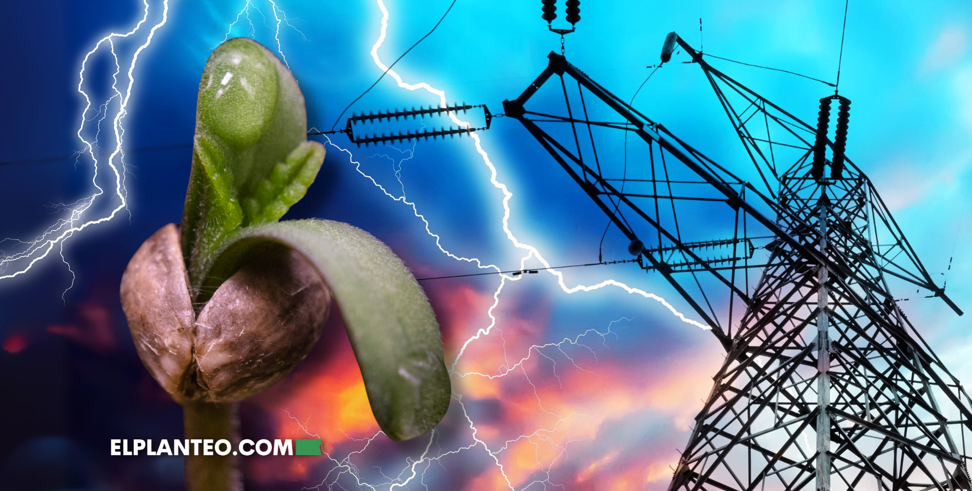 El Cultivo de Cannabis Consume Más Energía que Bitcoin, y Eso Es un Problema El Cultivo de Cannabis Consume Más Energía que Bitcoin, y Eso Es un Problema