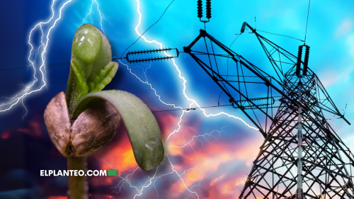 El Cultivo de Cannabis Consume Más Energía que Bitcoin, y Eso Es un Problema