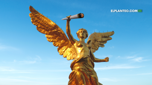 ¿Dónde Está Permitido Fumar Cannabis en CDMX? Nuevos Puntos, Mismos Derechos