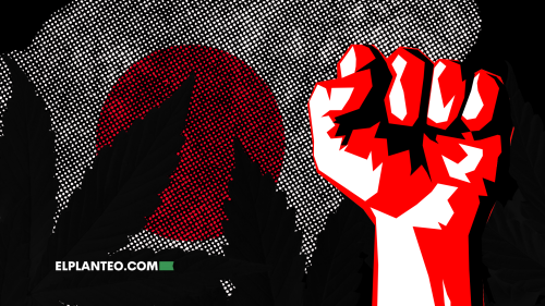 Rebeldía Japonesa: 7 Años de Cárcel por Fumar Marihuana… Y lo Hacen Igual