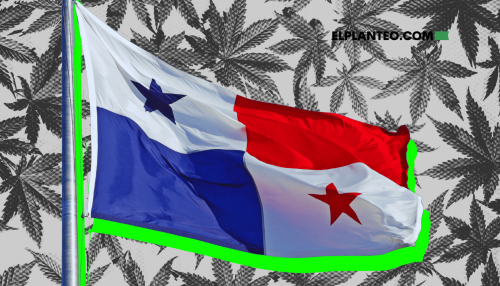 ‘Un Producto Supuestamente Muy Bueno’: Qué Dijo sobre Marihuana el Embajador de Panamá en la ONU