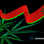 Un Poco de Historia: La Cultura del Cannabis en Marruecos y el Cambio en la Industria Legal