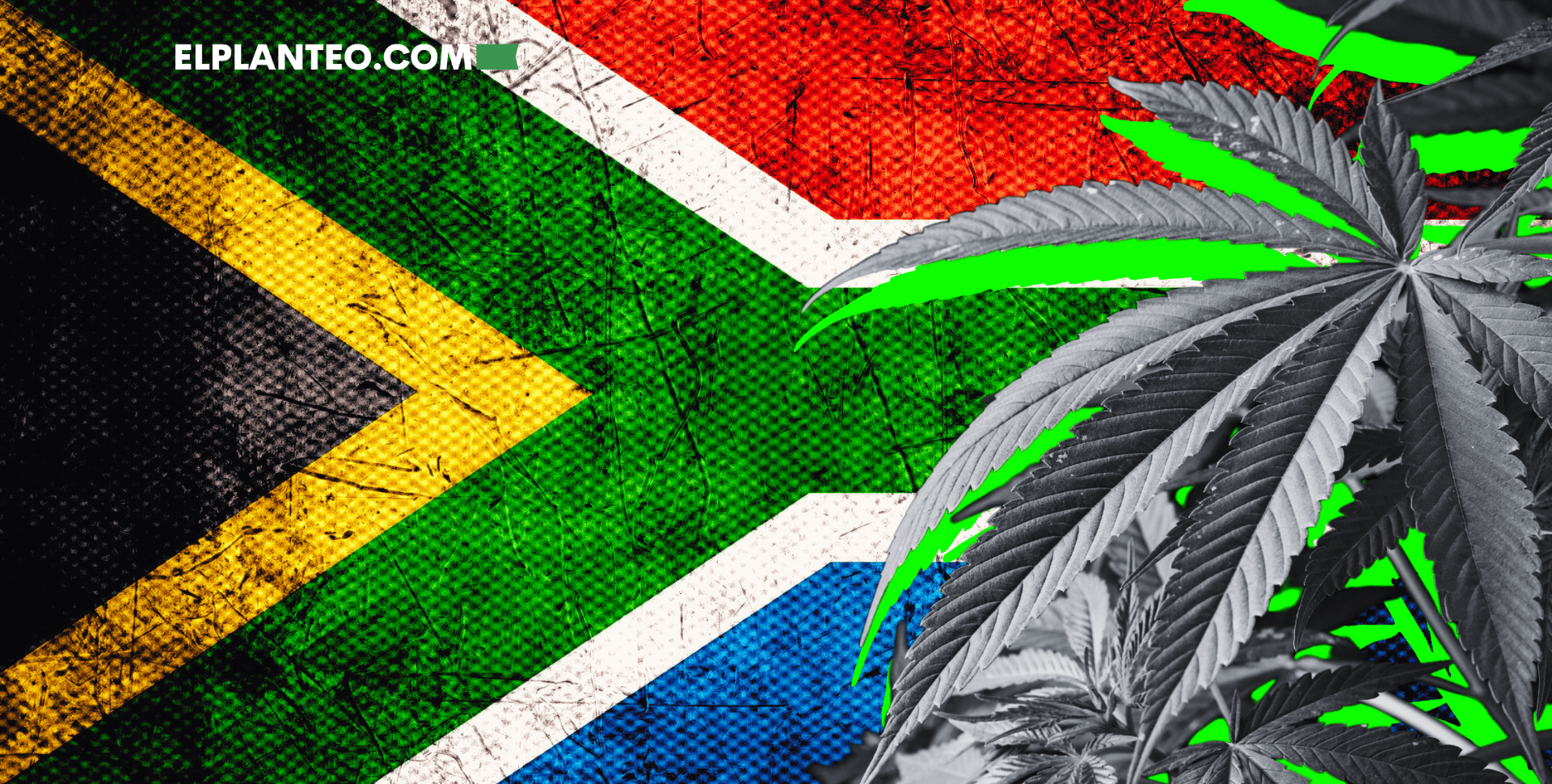 Sudáfrica, Camino a Regular los Clubes Privados de Cannabis en Comunidad