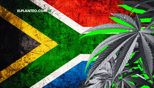 Sudáfrica, Camino a Regular los Clubes Privados de Cannabis en Comunidad Sudáfrica, Camino a Regular los Clubes Privados de Cannabis en Comunidad