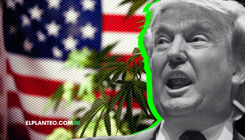Trump Dice que Decidirá sobre la Reclasificación del Cannabis ‘En las Próximas Semanas’ Trump Dice que Decidirá sobre la Reclasificación del Cannabis ‘En las Próximas Semanas’