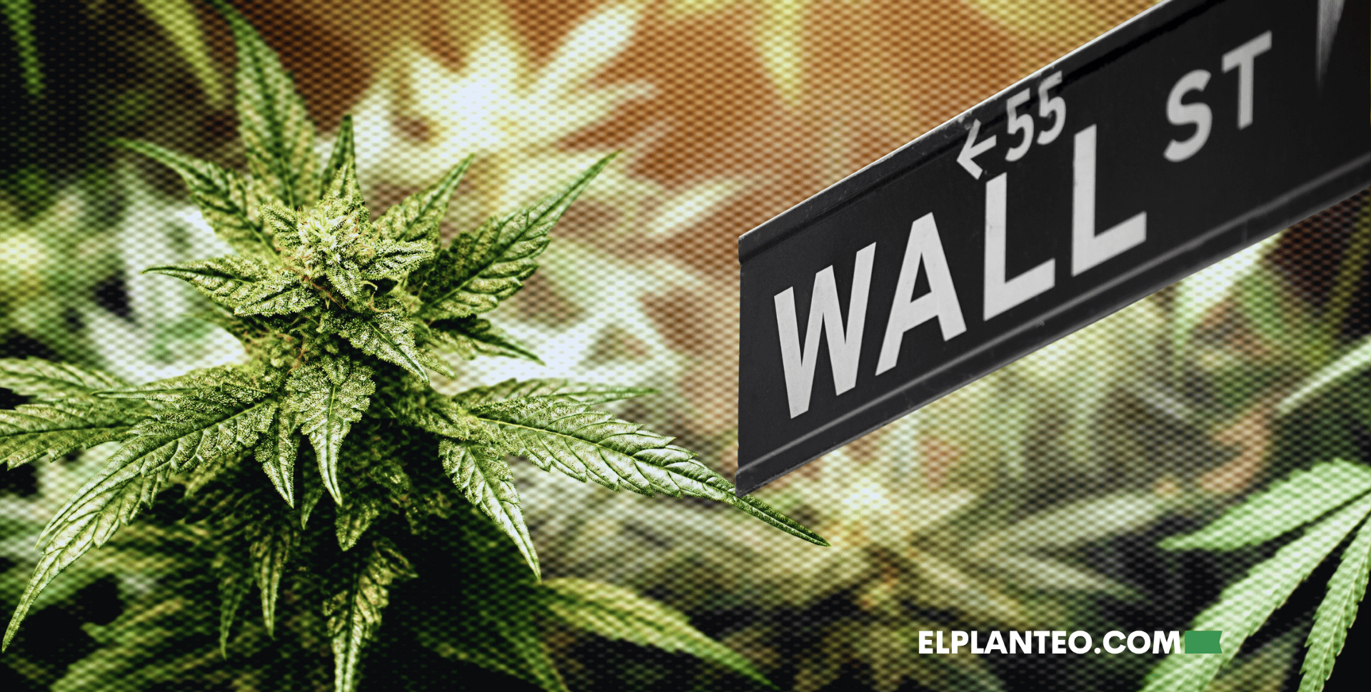 ¿Wall Street, Quién? El Cannabis Traza su Propio Camino Sin las Grandes Finanzas