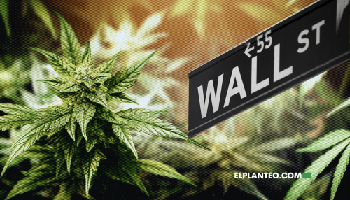 ¿Wall Street, Quién? El Cannabis Traza su Propio Camino Sin las Grandes Finanzas ¿Wall Street, Quién? El Cannabis Traza su Propio Camino Sin las Grandes Finanzas