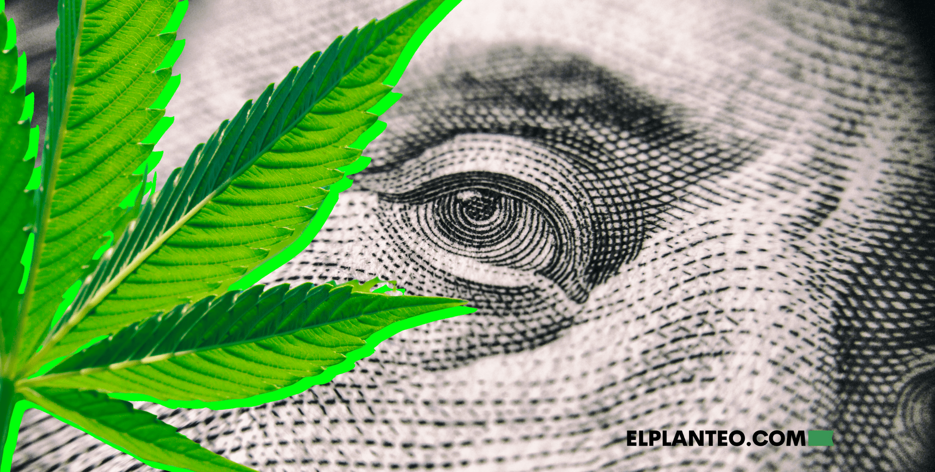 Se Acabó la ‘Fiebre Verde’: Bienvenidos a la Era Silenciosa del Cannabis Se Acabó la ‘Fiebre Verde’: Bienvenidos a la Era Silenciosa del Cannabis
