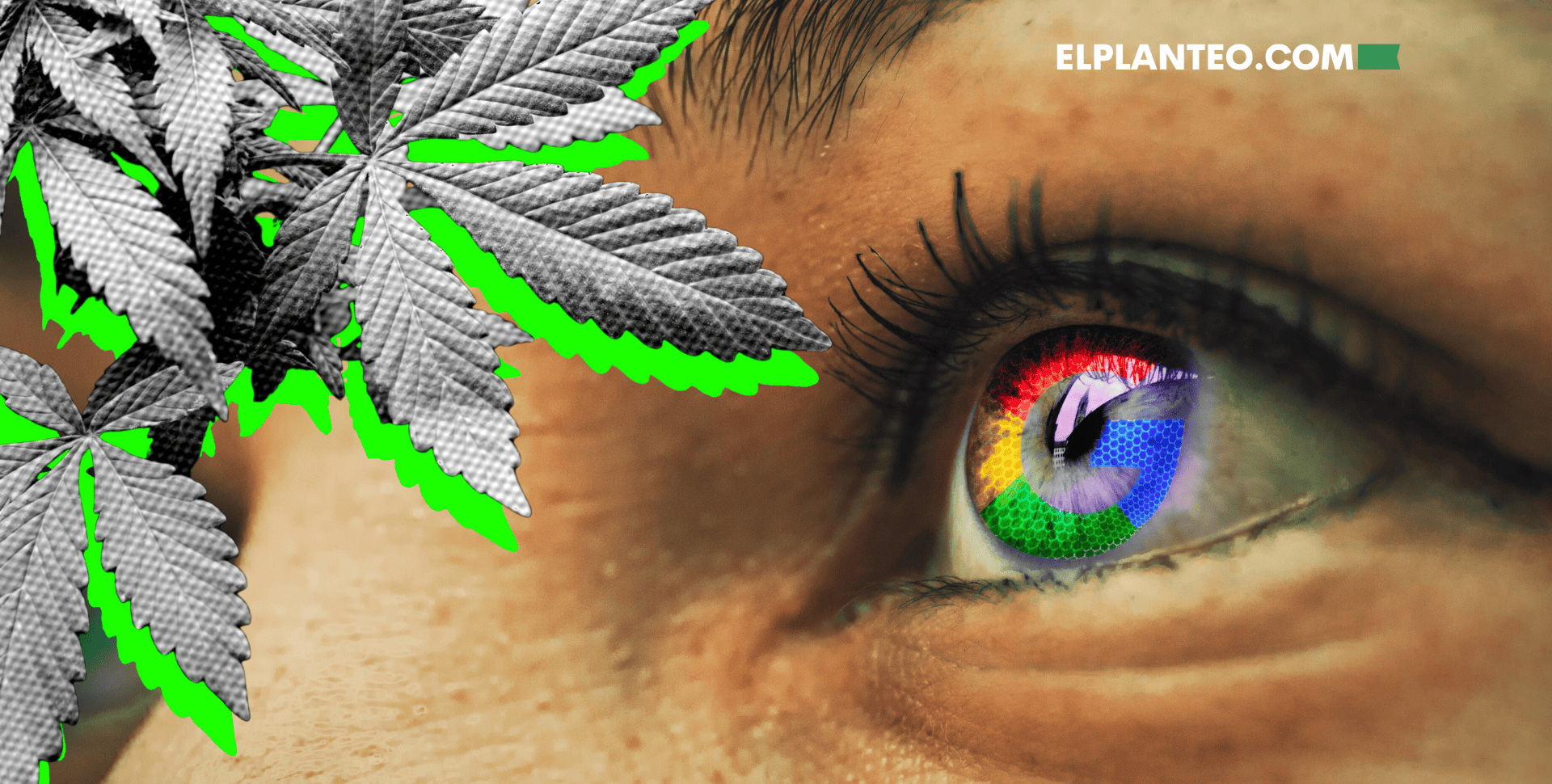 Pasito a Pasito: Google Ads Permitirá Anuncios de Cannabis en Canadá… Por Ahora