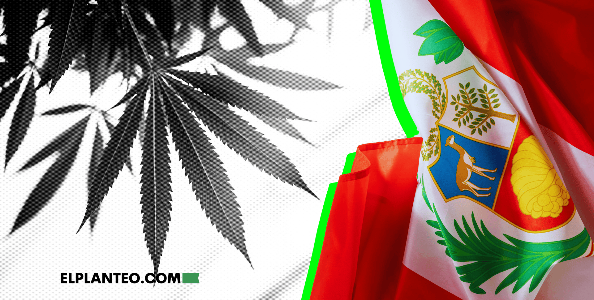 Perú Avanza con Políticas de Cáñamo y Pide la Participación Ciudadana Perú Avanza con Políticas de Cáñamo y Pide la Participación Ciudadana