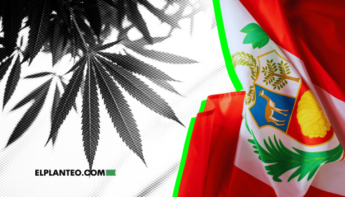 Perú Avanza con Políticas de Cáñamo y Pide la Participación Ciudadana