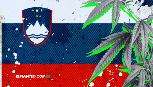Eslovenia: ¿Cannabis Medicinal? ¡No Alcanza! Suman Proyecto de Uso Adulto 