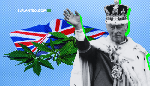 Dicen por Ahí: ¿El Rey Carlos III Está Cultivando su Propio Cannabis Medicinal?