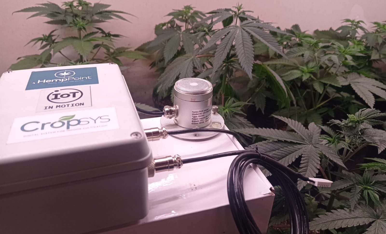 Innovación Cannábica Argentina: Conoce CropSys, la Startup que Digitaliza el Cultivo Innovación Cannábica Argentina: Conoce CropSys, la Startup que Digitaliza el Cultivo