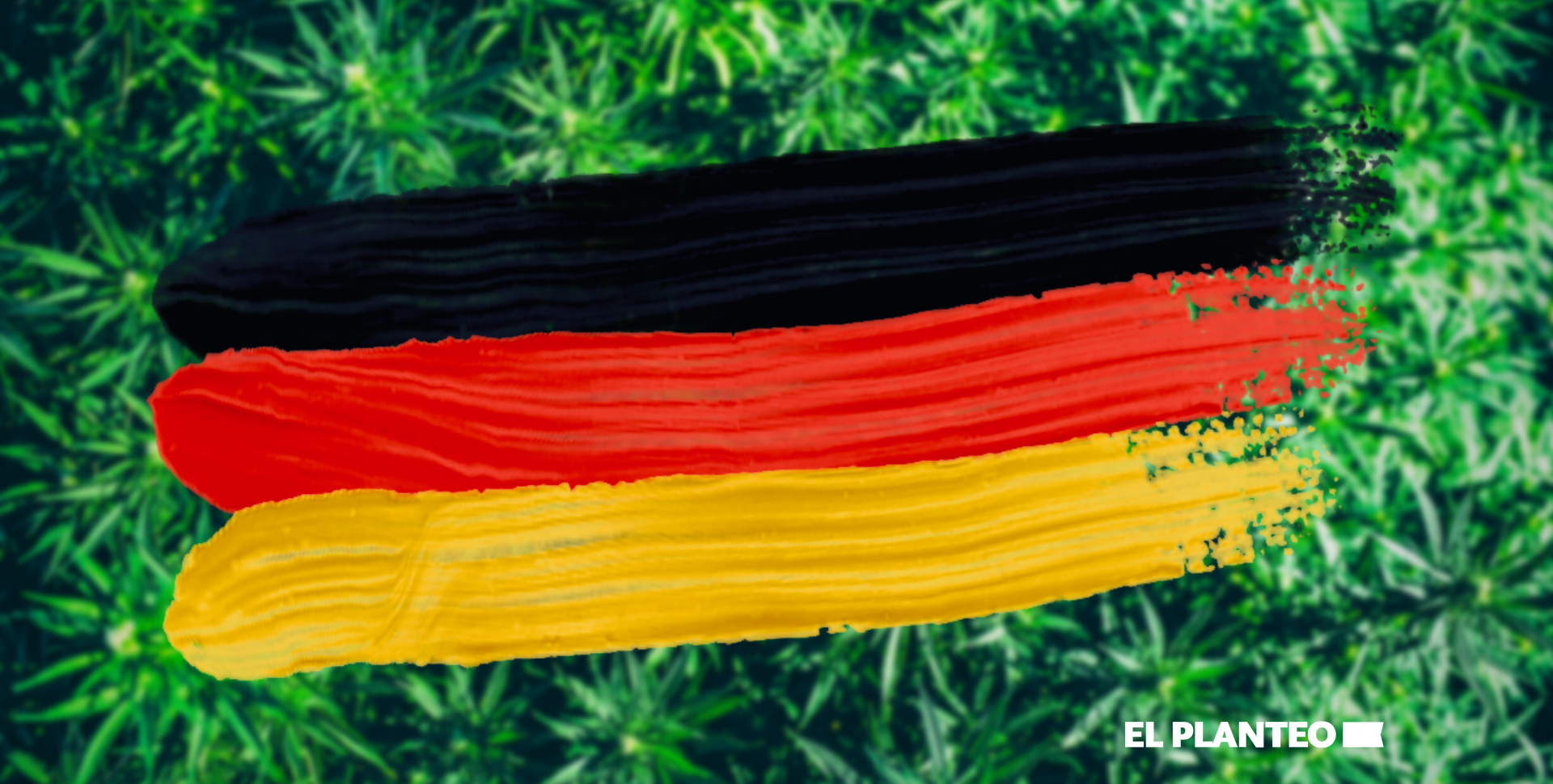 Quién lo Diría: El Cannabis Legal Reduce el Narcotráfico en Alemania Quién lo Diría: El Cannabis Legal Reduce el Narcotráfico en Alemania