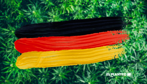 Quién lo Diría: El Cannabis Legal Reduce el Narcotráfico en Alemania Quién lo Diría: El Cannabis Legal Reduce el Narcotráfico en Alemania