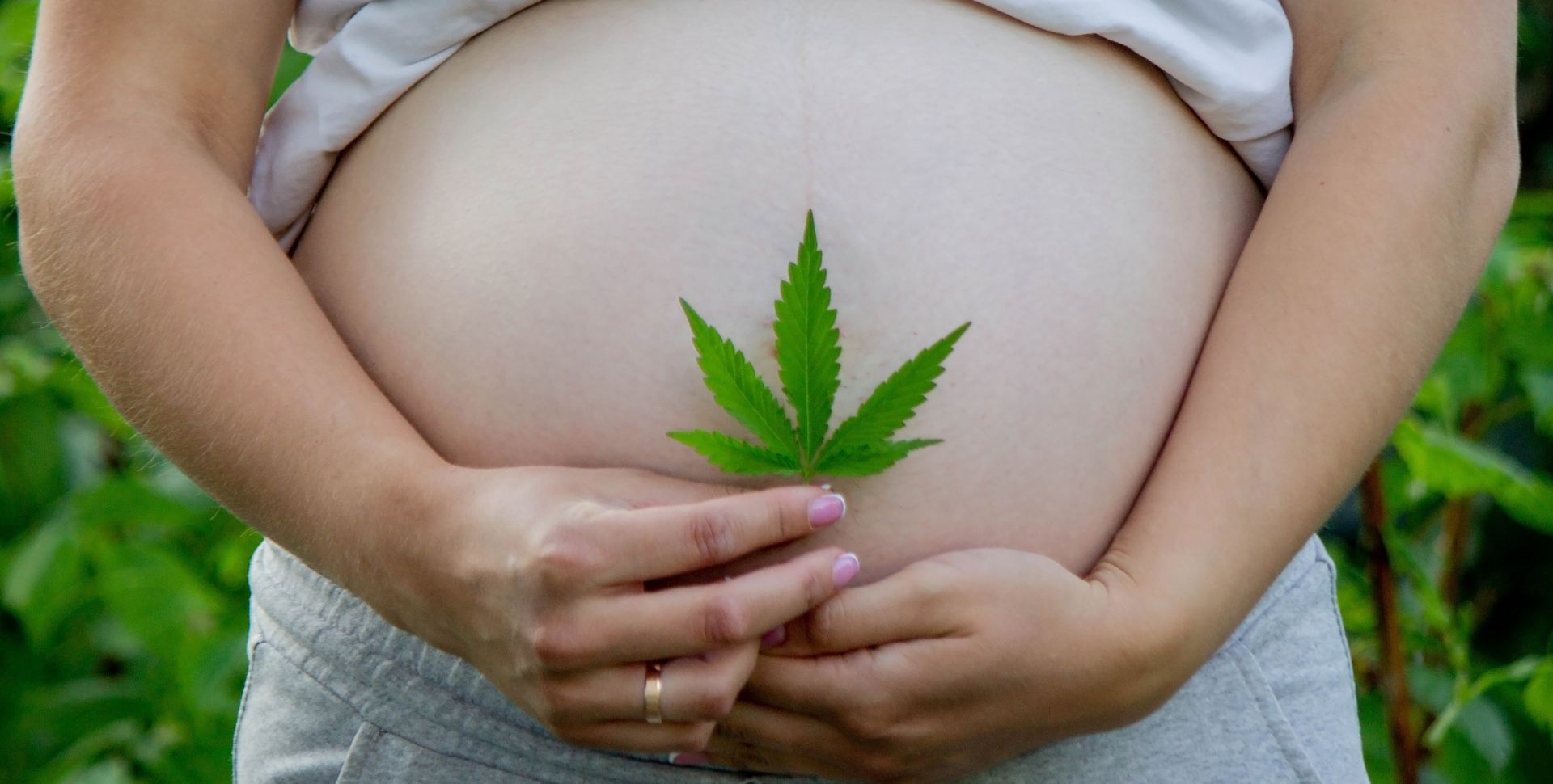 ‘La Marihuana Causa Infertilidad, Aborto Espontáneo y Defectos Genéticos’: Las Pruebas lo Desmienten