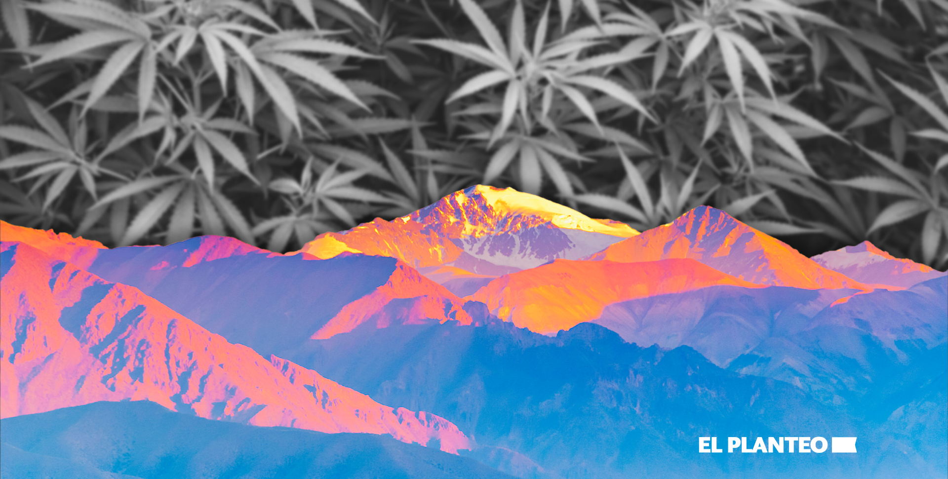 Arrancó Mendoza: Reglamentan Cannabis Medicinal y Cáñamo Industrial