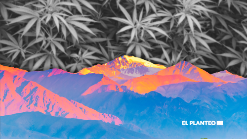 Arrancó Mendoza: Reglamentan Cannabis Medicinal y Cáñamo Industrial Arrancó Mendoza: Reglamentan Cannabis Medicinal y Cáñamo Industrial