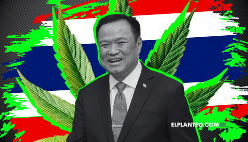 Tailandia Elige al ‘Rey del Cannabis’ Como Primer Ministro: ¿Un Rayo de Esperanza entre la Confusión?