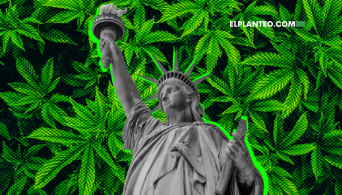 La Equidad Social Paga Bien: Nueva York Supera los USD Mil Millones en Ventas Legales de Cannabis en 2025
