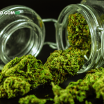 Cómo Guardar tu Cannabis: Tips Para Almacenar Marihuana Como un Profesional