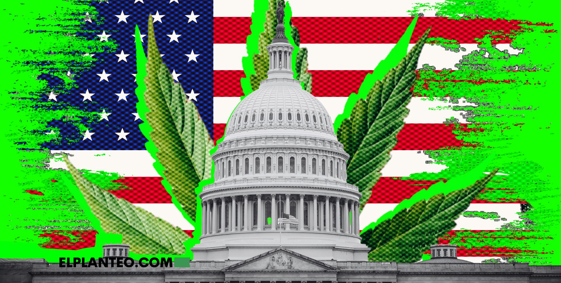 EEUU: 40 Diputados Van por la Legalización Total del Cannabis, ¿Cómo Es el Proyecto? EEUU: 40 Diputados Van por la Legalización Total del Cannabis, ¿Cómo Es el Proyecto?