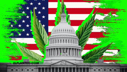 EEUU: 40 Diputados Van por la Legalización Total del Cannabis, ¿Cómo Es el Proyecto? EEUU: 40 Diputados Van por la Legalización Total del Cannabis, ¿Cómo Es el Proyecto?