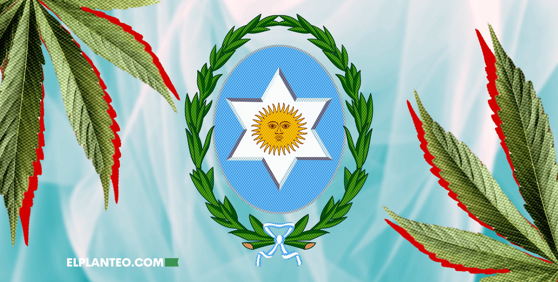 Salta Hace Historia: Sanción Definitiva para el REPROCANN Salteño 