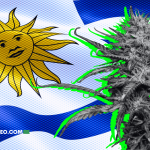 Uruguay, Pionero del Cannabis, Impulsa Mejoras en el Acceso Medicinal y de Uso Adulto