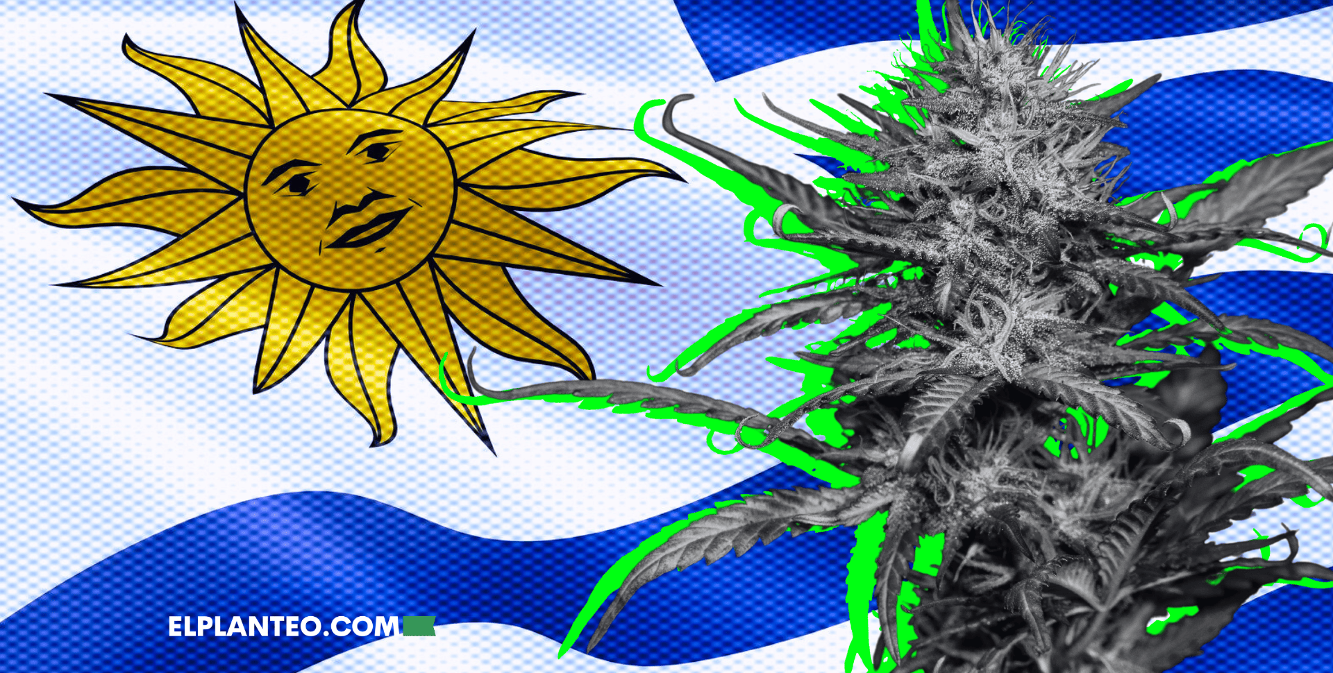 Uruguay, Pionero del Cannabis, Impulsa Mejoras en el Acceso Medicinal y de Uso Adulto