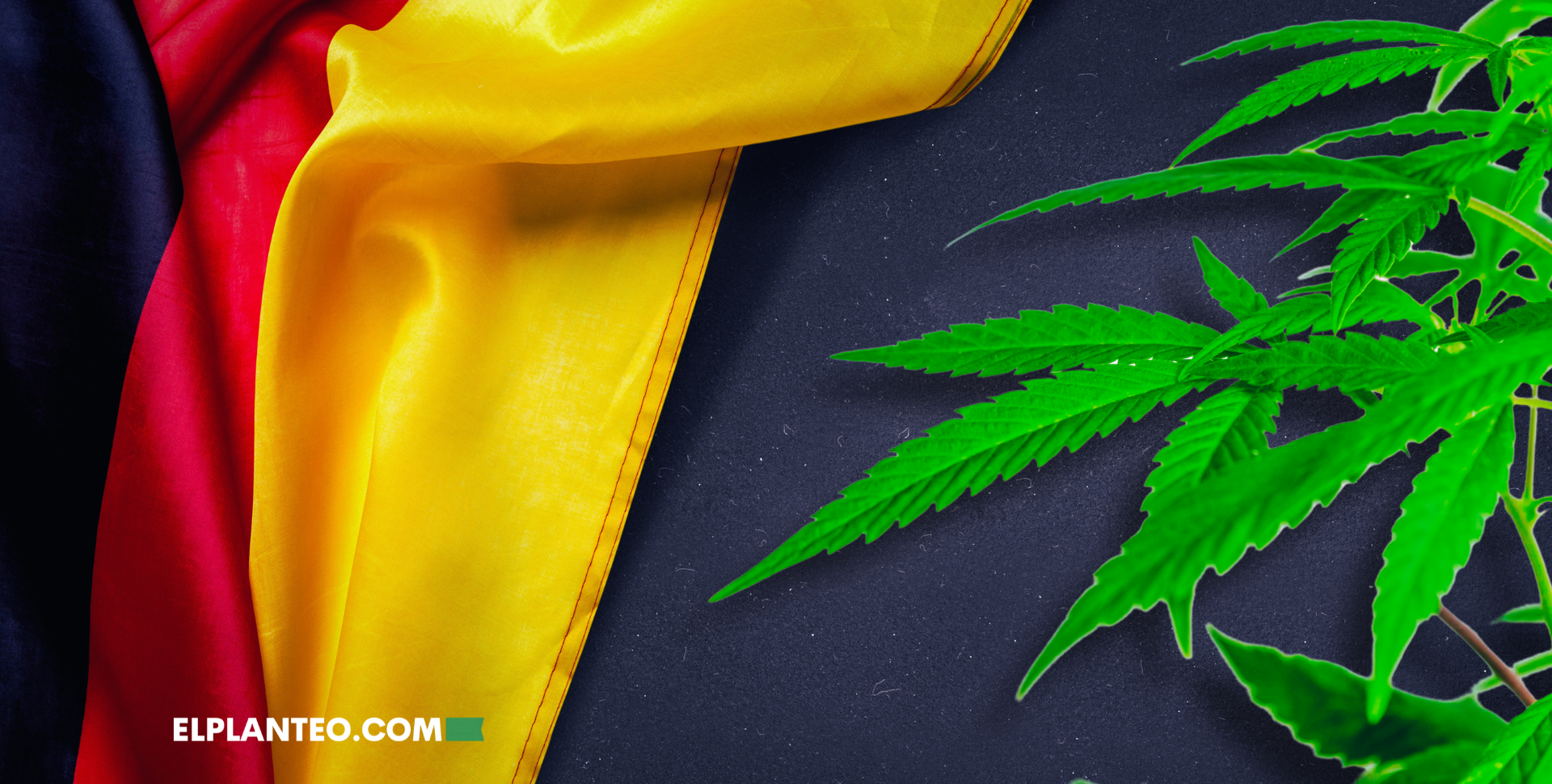 Se Terminan las Recetas Digitales de Cannabis en Alemania ¿Y Ahora?