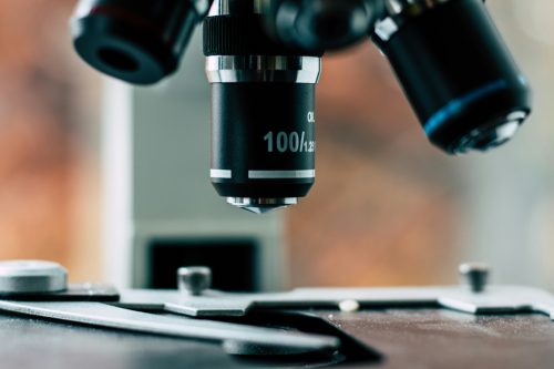 Desarrollar un Proyecto de Cannabis Medicinal No es Imposible: Qué Dicen los Expertos Desarrollar un Proyecto de Cannabis Medicinal No es Imposible: Qué Dicen los Expertos