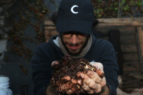 Los Cultivadores de Cannabis Sostenible Pueden Salvar al Mundo (Si los Dejamos) Los Cultivadores de Cannabis Sostenible Pueden Salvar al Mundo (Si los Dejamos)
