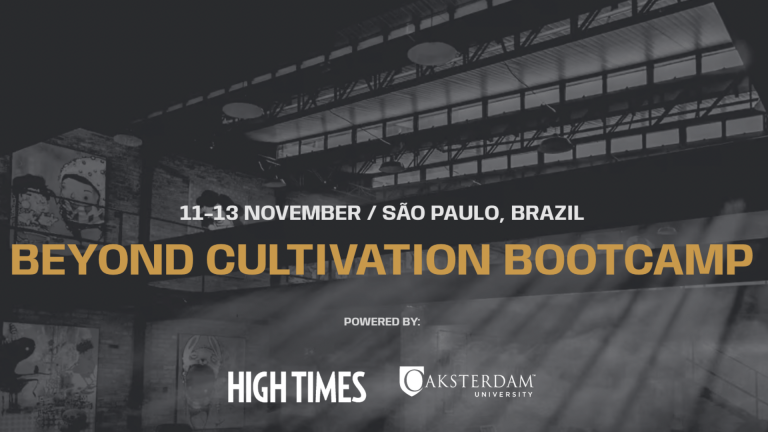 Leyendas Mundiales del Cannabis Llegan a Brasil en Noviembre con un Bootcamp sin Precedentes